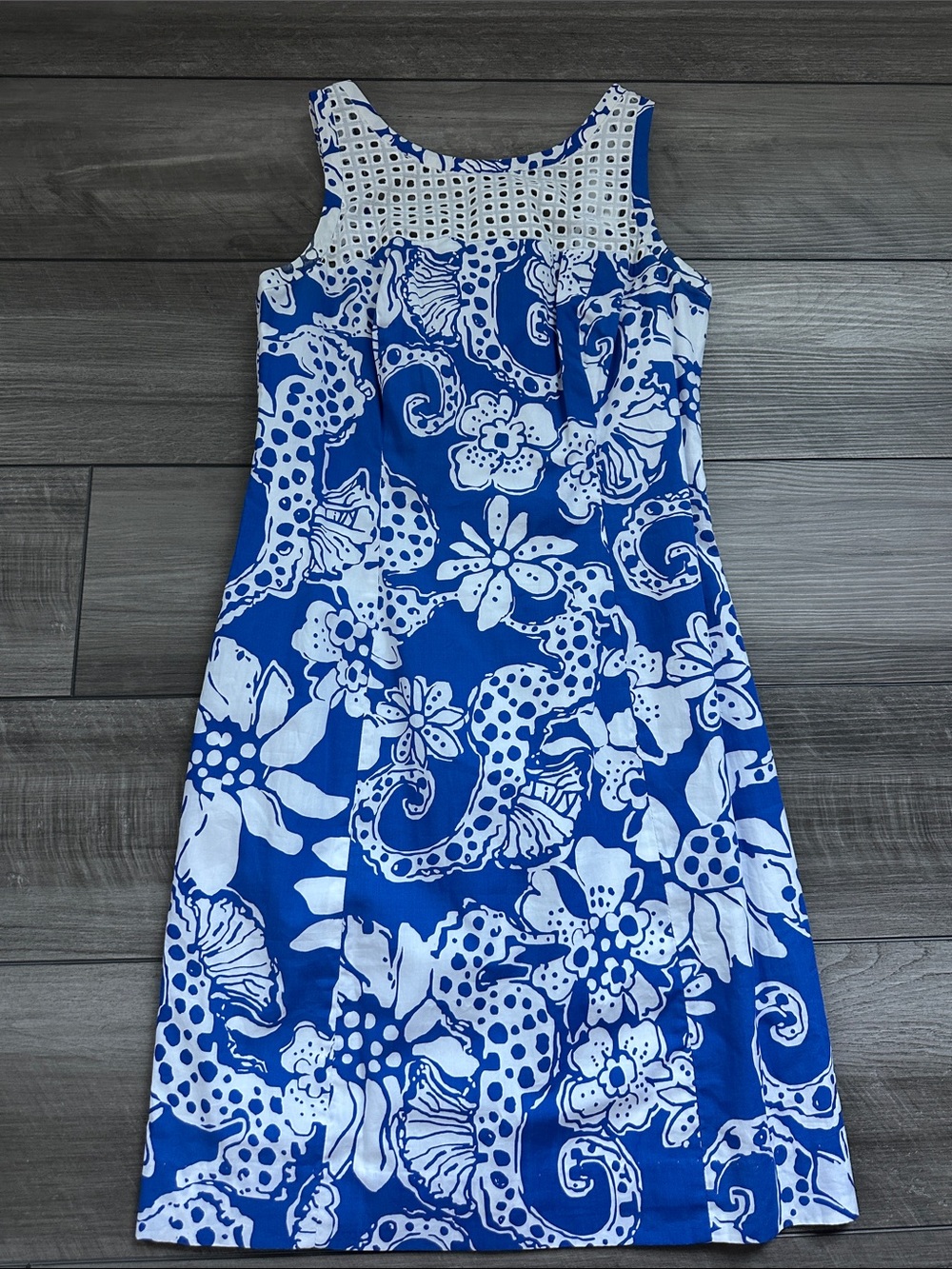 Lilly Pulitzer Blue & White Printed Dress